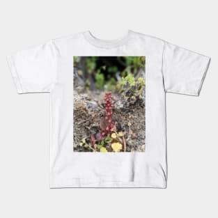 Pennywort Kids T-Shirt